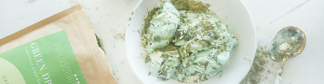 Homemade Mint Chip Nice Cream-Philosophie