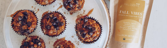 Gooey, Tasty Pumpkin Chocolate Oat Muffins-Philosophie